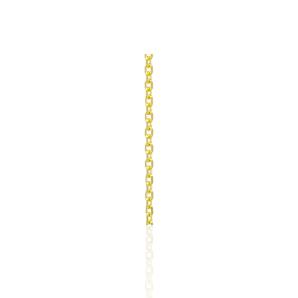 14K Gold Diamond Cut Chain