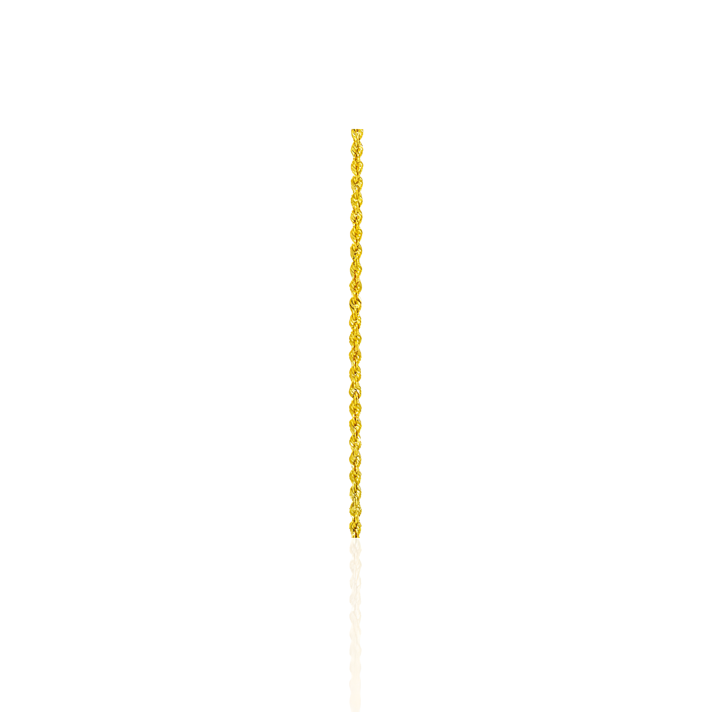 14K Gold Rope Chain