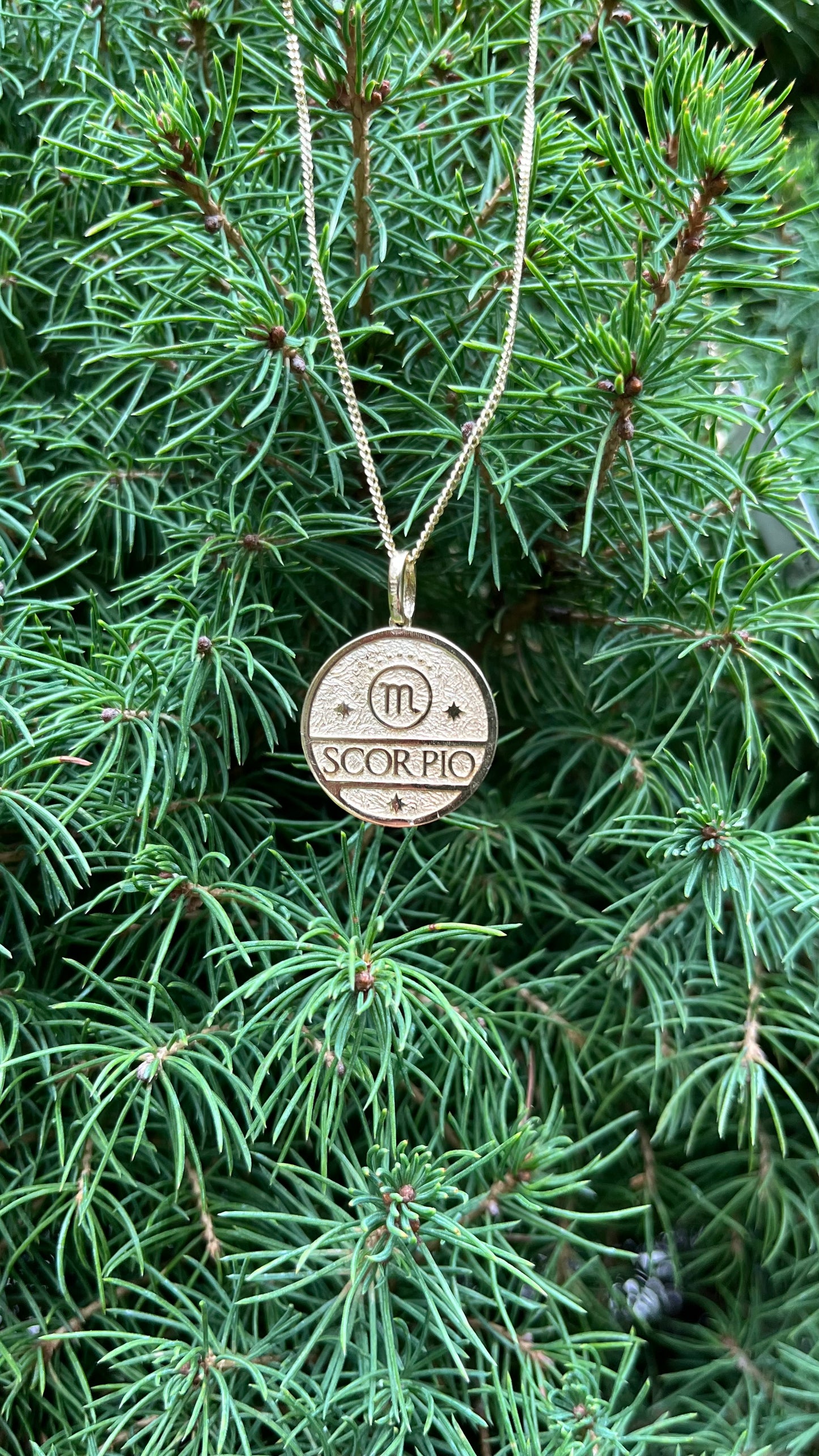 14K Gold Zodiac Pendant