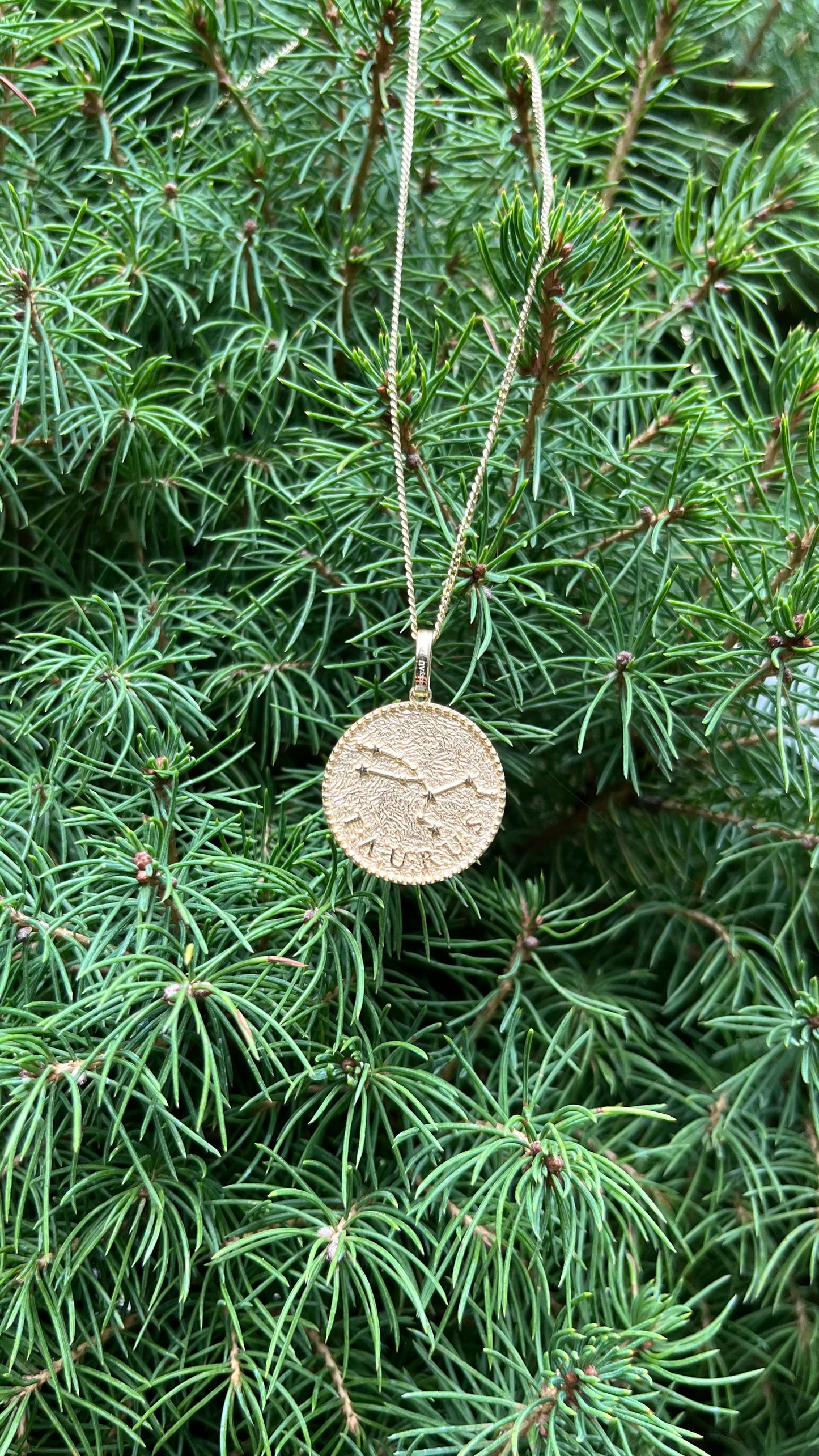 14K Gold Zodiac Pendant