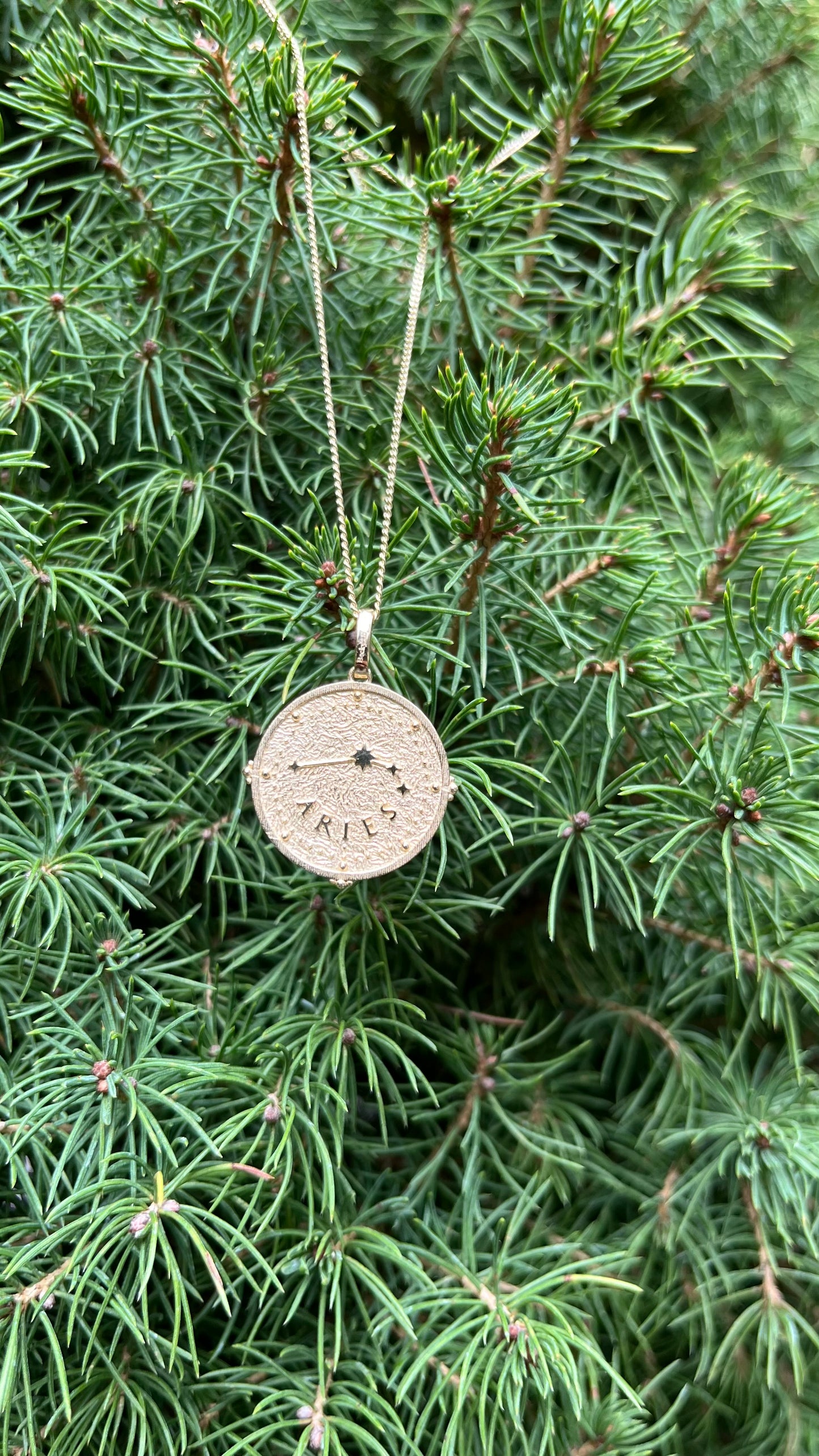 14K Gold Zodiac Pendant